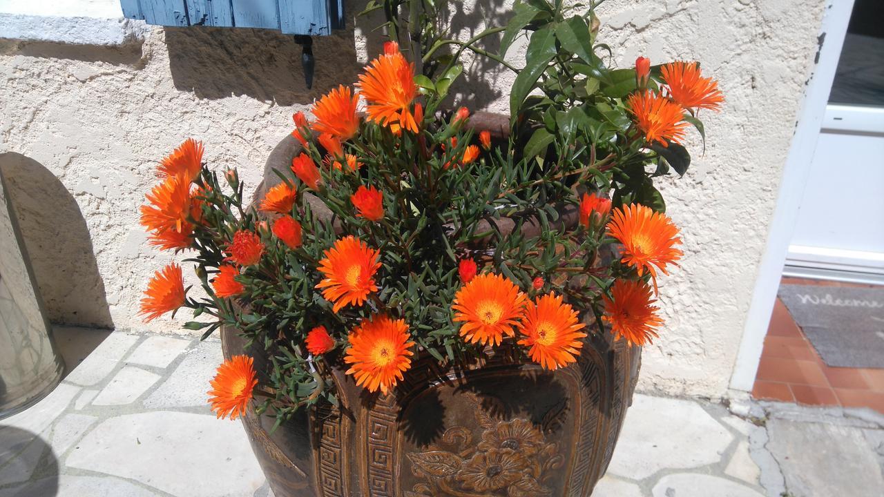 Auberge La Folie Sausset-les-Pins Εξωτερικό φωτογραφία